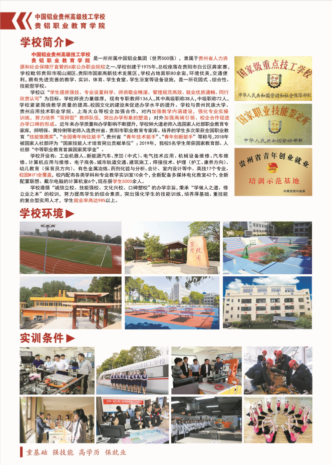 贵铝剑1.png
